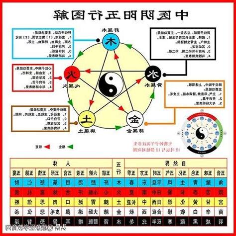 中醫五行表