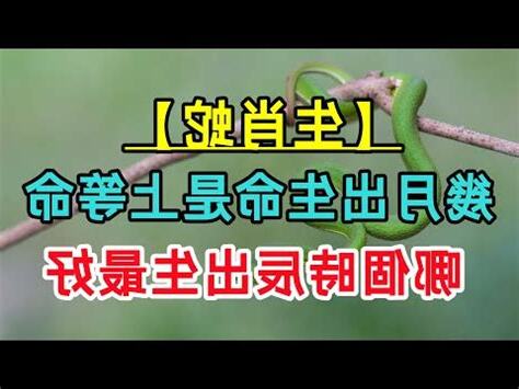 2025蛇寶寶旺父母