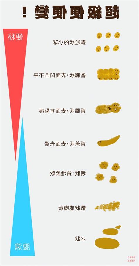 成形便