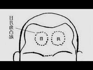 額頭日月角