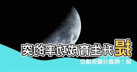 精蟲分離術