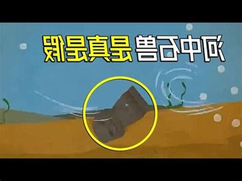 河中石獸工作紙答案