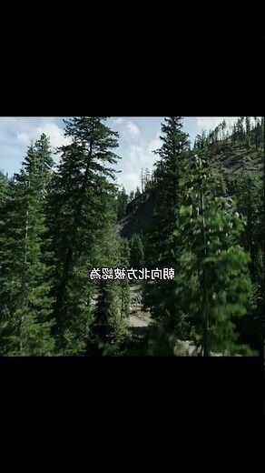 羅盤指南針-風水羅盤