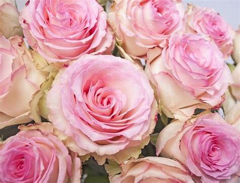 結婚風水