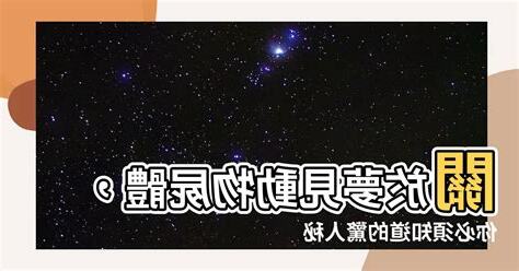 夢見動物屍體