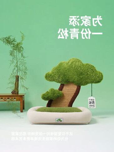 青松樹