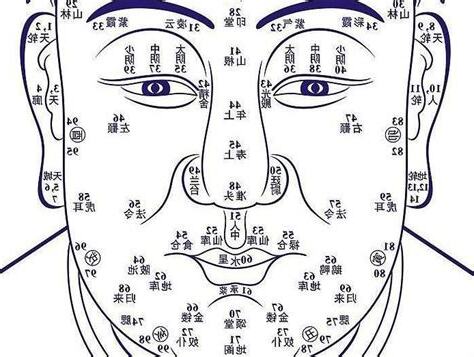 面相解析