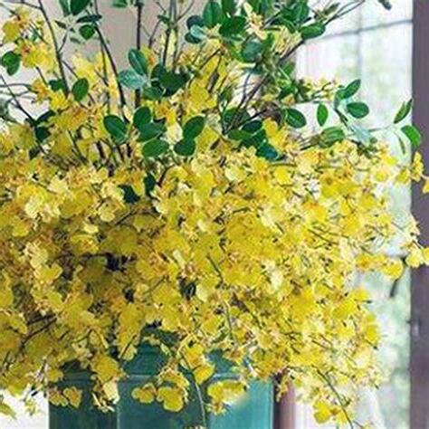 房間假花風水