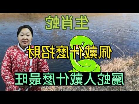 屬蛇配戴
