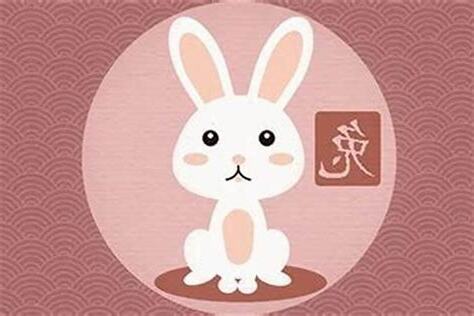 兔相合生肖