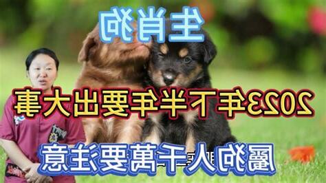 屬狗個性