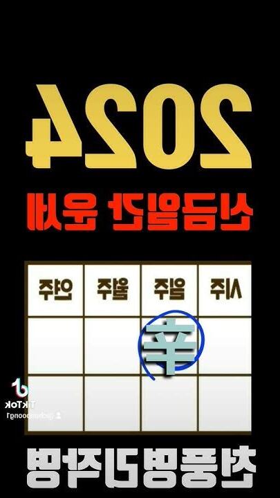 辛金2024