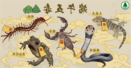 農曆五月禁忌