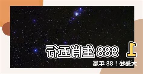 1988屬龍五行