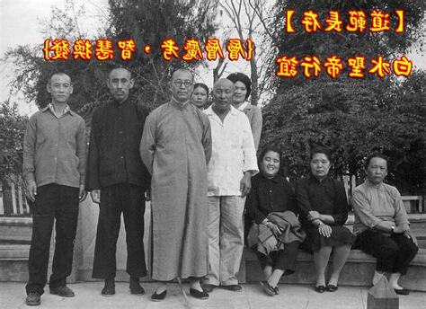 有情無情試根基
