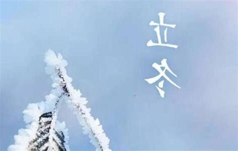 立冬出生