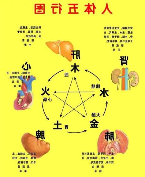 八字看疾病
