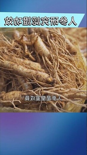 人參是什麼