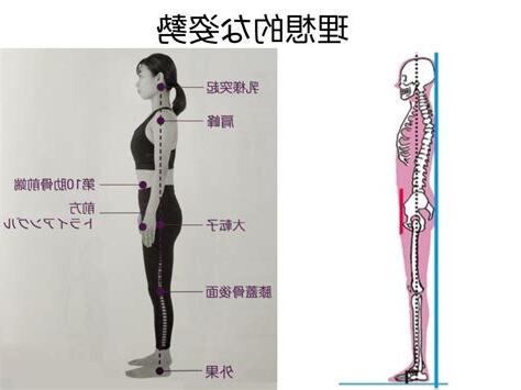 女上的姿勢