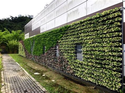 外牆植物處理