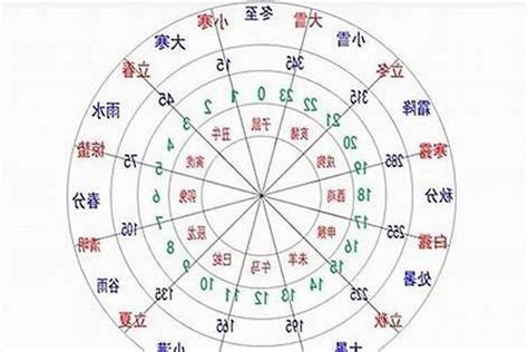 八字忌木