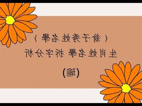 商號名字分析