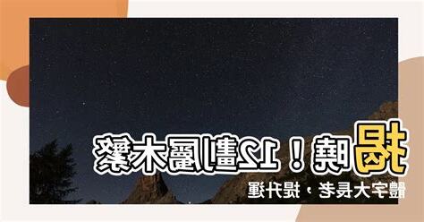 12劃的字屬木