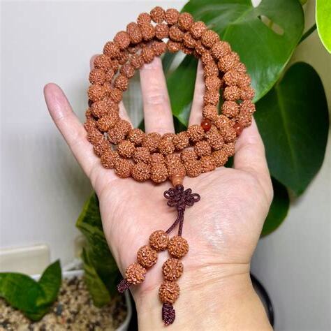 五面金剛菩提子