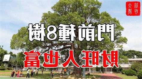 門前種樹風水