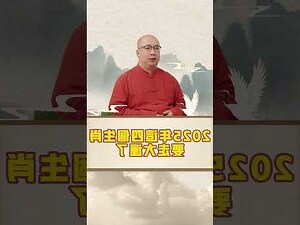 生肖五行工作