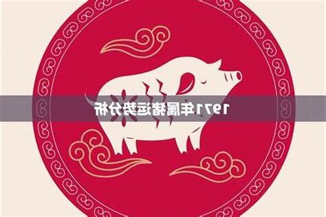1971属猪2024年运程