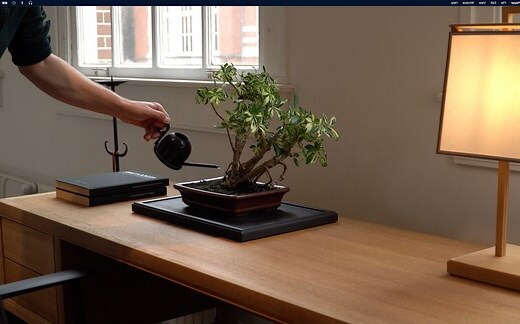 花草盆栽