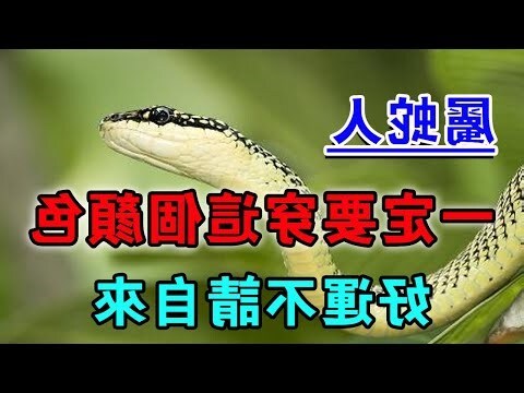 養蛇風水