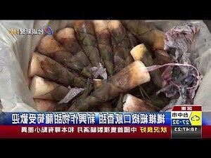 甜龍筍矮化