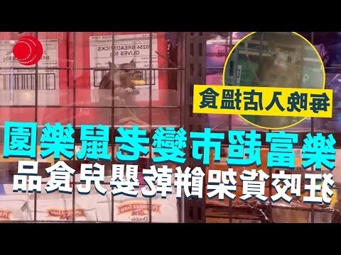 老鼠咬