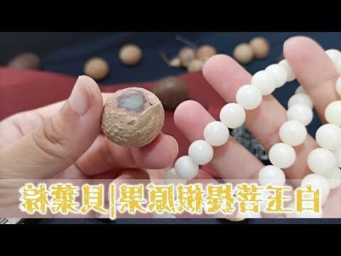 白玉菩提變色