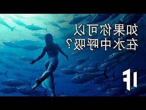 大海水命是什麼意思