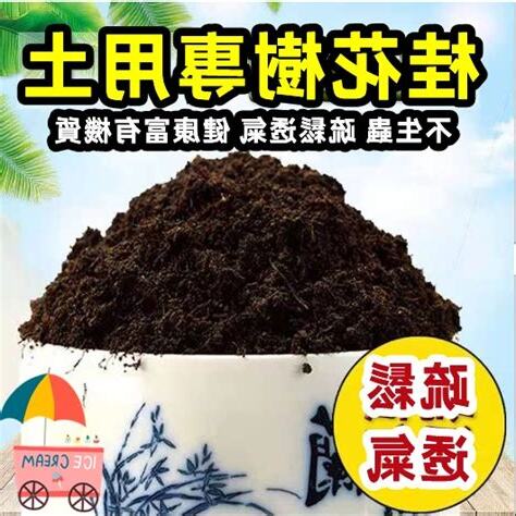 桂花適合的土