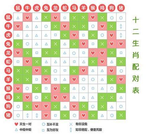 生肖五行配對