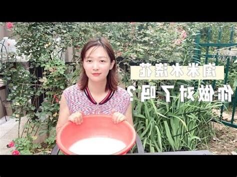 洗米水澆花比例