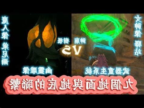 地下樹根位置