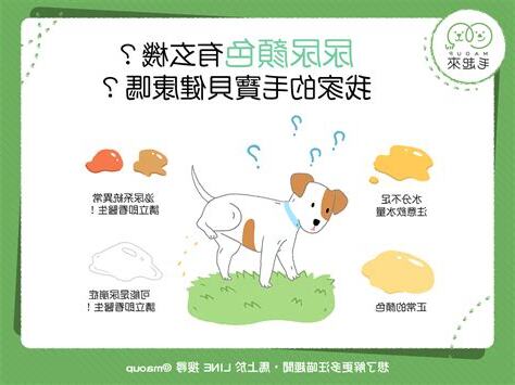 狗尿尿顏色