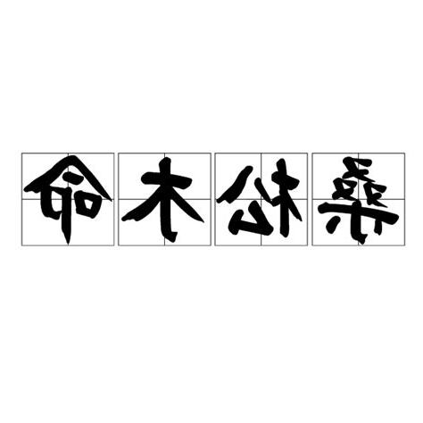 桑松木命