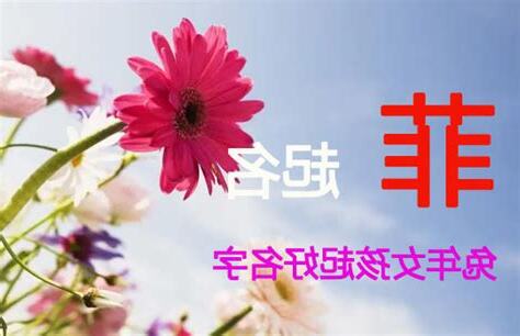 菲的名字