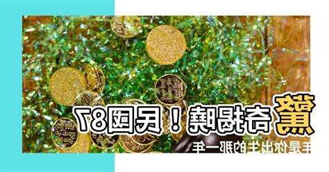 87年是什麼年