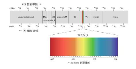 白光能量