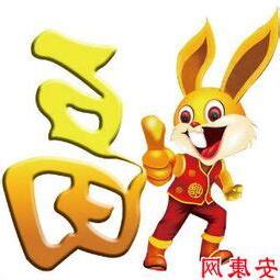 兔年取名字