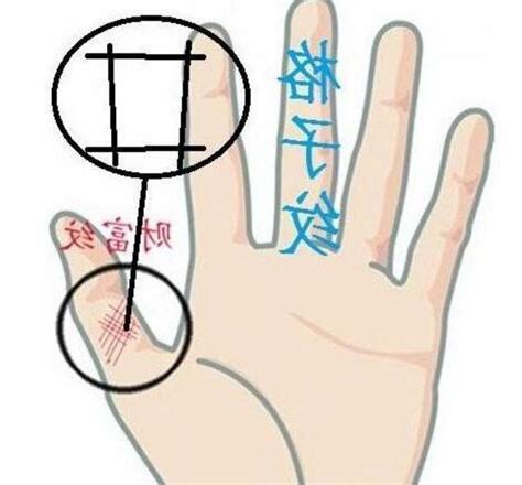 手相大拇指下方