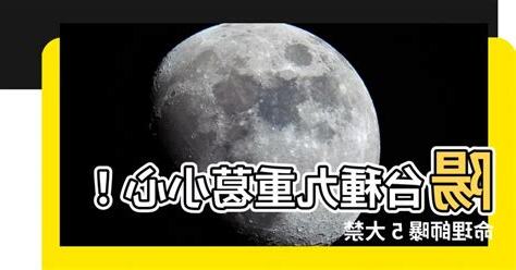 陽台九重葛風水