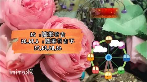 人格24劃
